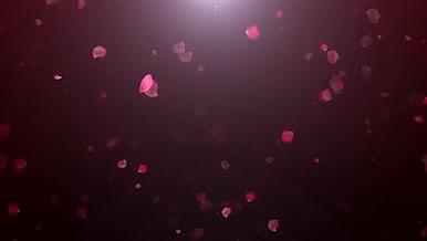 4K唯美情人节玫瑰花朵舞动舞台背景视频视频的预览图
